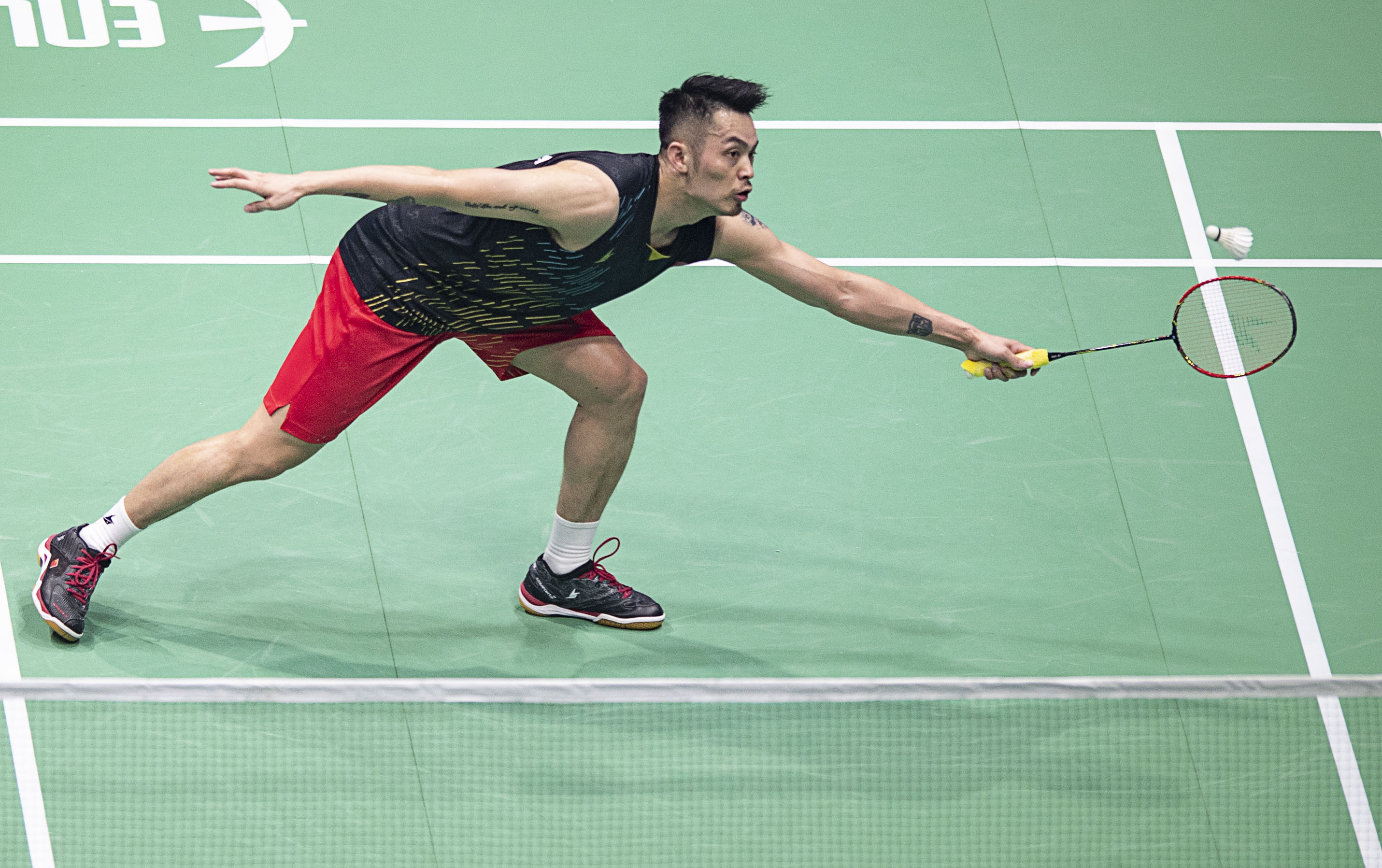 向功能化倾 向功能化倾